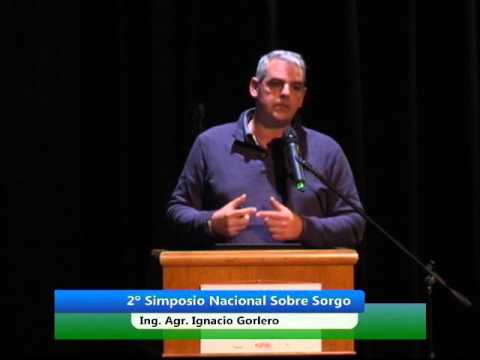 Simposio Nacional de Sorgo 2015 - Ing. Agr. Ignacio Gorlero